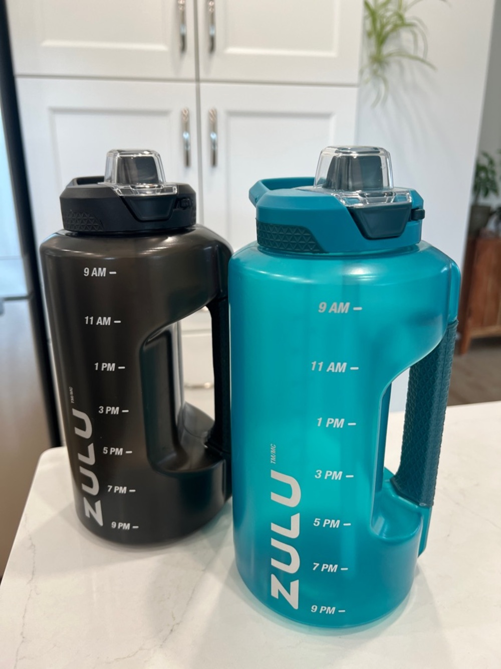 ZULU Large Hydration Bottle - Teal And Black